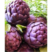 S.ALCACHOFRA VIOLETA - 1 KILO S.ALCACHOFRA VIOLETA - 1 KILO