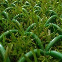 BOSK ARCOGRASS 5M2 BOSK ARCOGRASS 5M2