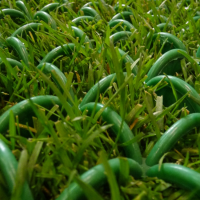 BOSK ARCOGRASS 10M2 BOSK ARCOGRASS 10M2