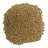 ZEZERE AVEIAO         - SACO 20KG