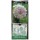 S.BOLBO DC ALLIUM IVORY QUEEN - CX 60 UNIDADE