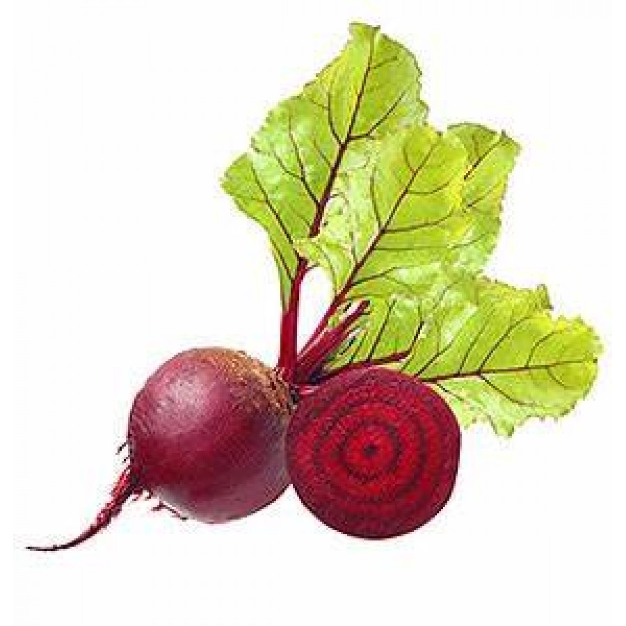 S.PLANTA BATERRABA - UNIDADE S.PLANTA BATERRABA - UNIDADE