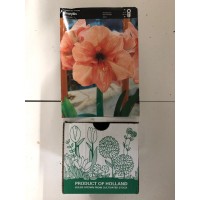 S.BOLBO DC FLOR DE LIS  - CX 30 UNIDADES
