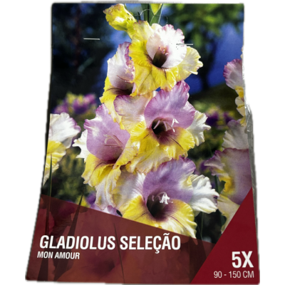 S.BOLBO SAQUETA DC GALADIOLO SELEÇÃO MON AMOUR- 5 BOLBOS