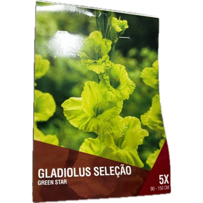 S.BOLBO SAQUETA DC GALADIOLO SELEÇÃO GREEN STAR- 5 BOLBOS
