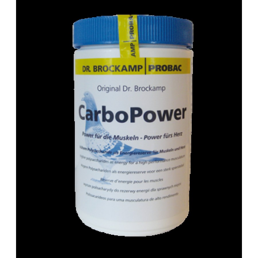 CARBO POWER ( SUPORTE MUSCULAR ) - 500 GR CARBO POWER ( SUPORTE MUSCULAR ) - 500 GR