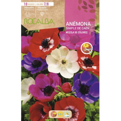 S.BOLBO RO.GAVETA 200 ANEMONAS SIMPLES DE CAEN MISTURA DE CORES - BUAC1075