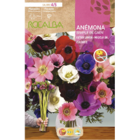S.BOLBO RO.GAVETA 200 ANEMONA SIMPLES DE CAEN EXTRA LONGO MISTURA DE CORES -BUAG1180 S.BOLBO RO.GAVETA 200 ANEMONA SIMPLES DE CAEN EXTRA LONGO MISTURA DE CORES -BUAG1180
