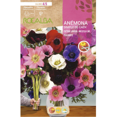 S.BOLBO RO.GAVETA 200 ANEMONA SIMPLES DE CAEN EXTRA LONGO MISTURA DE CORES -BUAG1180