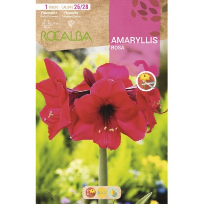 S.BOLBO RO.GAVETA15 AMARYLLIS VERMELHO -BUAM0995