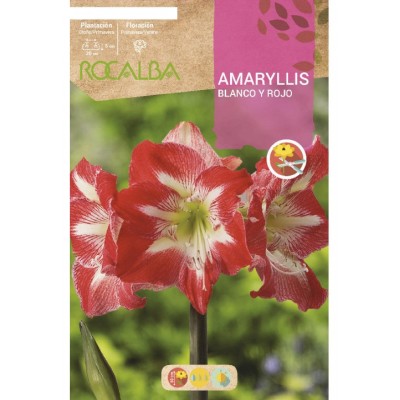 S.BOLBO RO.GAVETA 15 AMARYLLIS BRANCO/ROSA  -BUAM1010