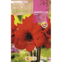 S.BOLBO RO.GAVETA15 AMARYLLIS VERMELHO -BUAM1015