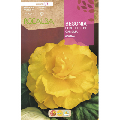 S.BOLBO RO.GAVETA BEGONIA FLOR DE CAMELIA AMAREL-BUBD2705