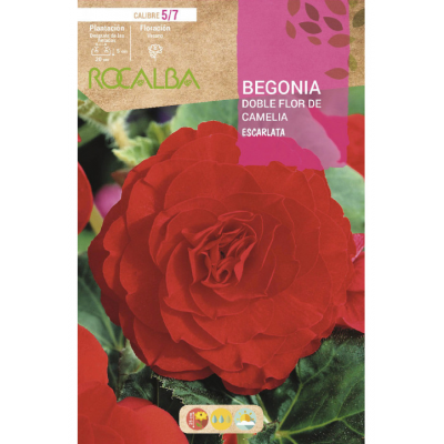 S.BOLBO RO.GAVETA BEGONIA FLOR DE CAMELIA ESCARL-BUBD2710
