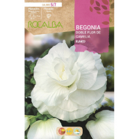 S.BOLBO RO.GAVETA BEGONIA FLOR DE CAMELIA BRANCO-BUBD2715 S.BOLBO RO.GAVETA BEGONIA FLOR DE CAMELIA BRANCO-BUBD2715