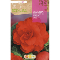 S.BOLBO RO.GAVETA BEGONIA FLOR DE CAMELIA LARANJ-BUBD2720 S.BOLBO RO.GAVETA BEGONIA FLOR DE CAMELIA LARANJ-BUBD2720