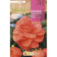 S.BOLBO RO.GAVETA BEGONIA FLOR DE CAMELIA SALMAO-BUBD2725