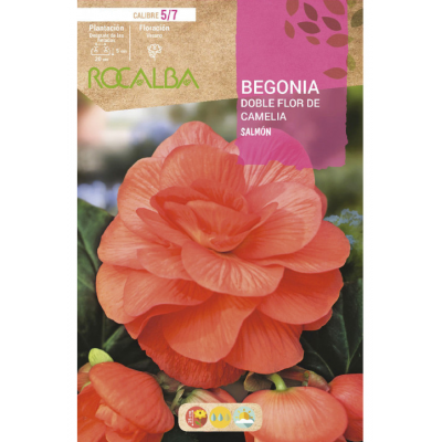 S.BOLBO RO.GAVETA BEGONIA FLOR DE CAMELIA SALMAO-BUBD2725