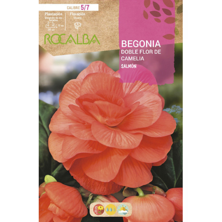 S.BOLBO RO.GAVETA BEGONIA FLOR DE CAMELIA SALMAO-BUBD2725