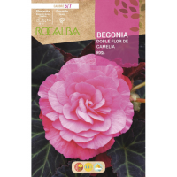 S.BOLBO RO.GAVETA BEGONIA FLOR DE CAMELIA ROSA-BUBD2730