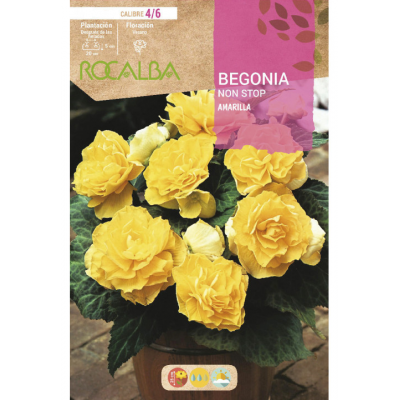 S.BOLBO RO.GAVETA BEGONIA NON STOP AMARELO - BUBN2880