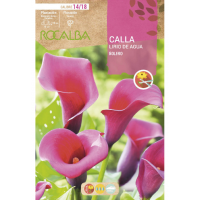 S.BOLBO RO.GAVETA JARROS - ROSA ESCURO BUCA3185