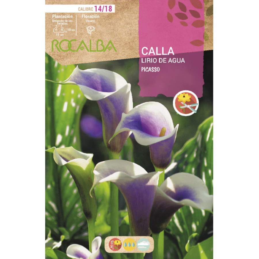 S.BOLBO RO.GAVETA JARROS - LILAS E BRANCO BUCA3195 S.BOLBO RO.GAVETA JARROS - LILAS E BRANCO BUCA3195