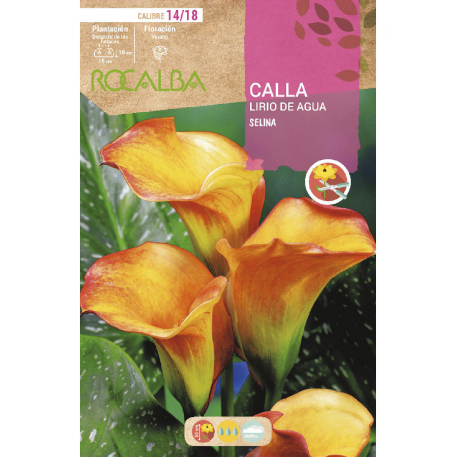 S.BOLBO RO.GAVETA JARROS - AMARELO E LARANJA BUCA3210 S.BOLBO RO.GAVETA JARROS - AMARELO E LARANJA BUCA3210
