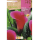 S.BOLBO RO.GAVETA JARROS - ROSA  BUCA3215