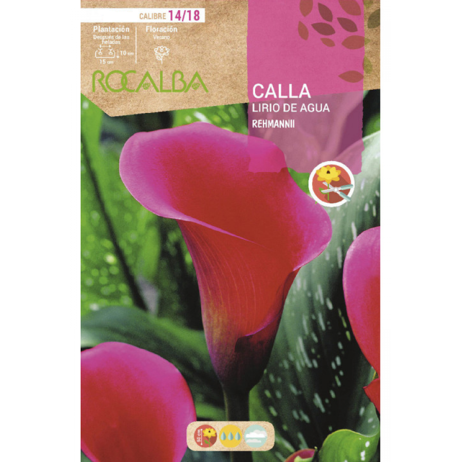 S.BOLBO RO.GAVETA JARROS - ROSA  BUCA3215