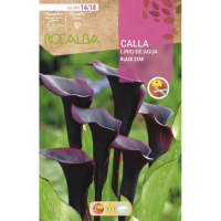S.BOLBO RO.GAVETA JARROS - NEGRO BUCA3225 S.BOLBO RO.GAVETA JARROS - NEGRO BUCA3225