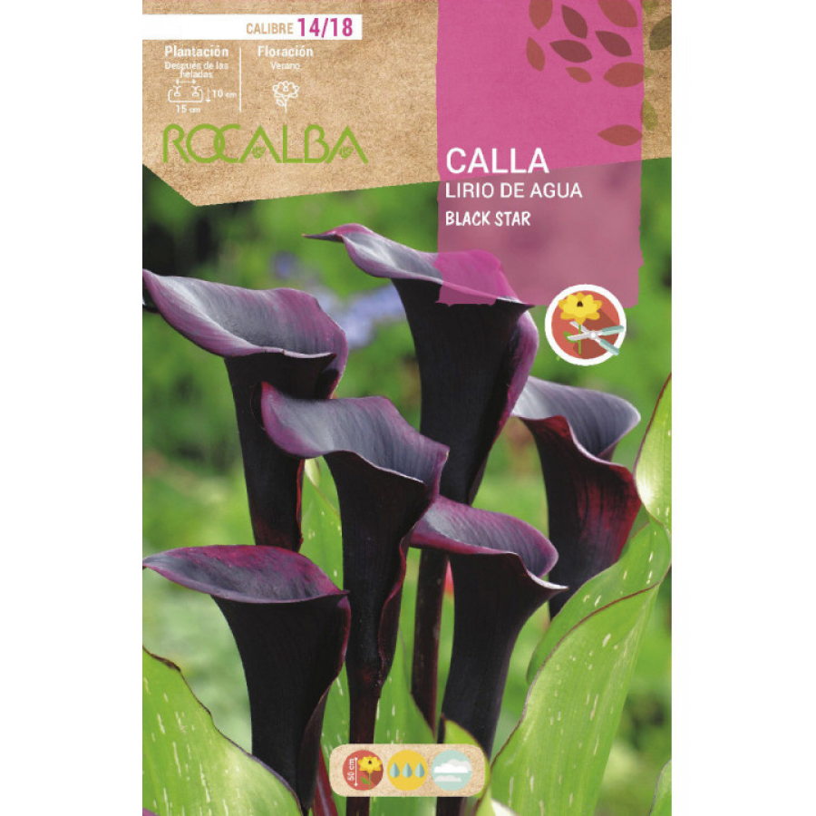 S.BOLBO RO.GAVETA JARROS - NEGRO BUCA3225 S.BOLBO RO.GAVETA JARROS - NEGRO BUCA3225