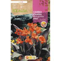 S.BOLBO RO.GAVETA CANAS ENANAS FOLHA CAST-LARAN. BUCE3080