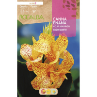 S.BOLBO RO.GAVETA CANAS ENANAS FOLHA CAST- AMARE BUCE3090