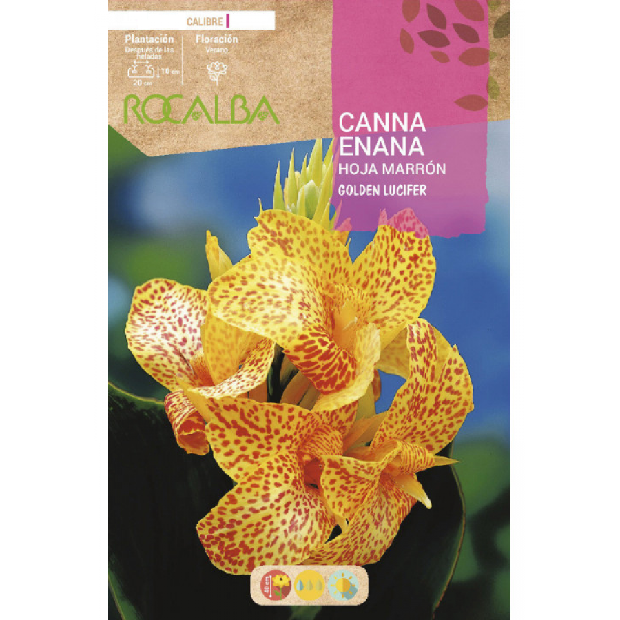 S.BOLBO RO.GAVETA CANAS ENANAS FOLHA CAST- AMARE BUCE3090
