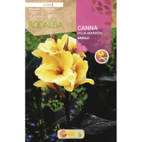 S.BOLBO RO.GAVETA CANAS FOLHA CASTANHA-AMARELO BUCM3050