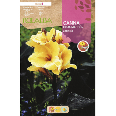 S.BOLBO RO.GAVETA CANAS FOLHA CASTANHA-AMARELO BUCM3050