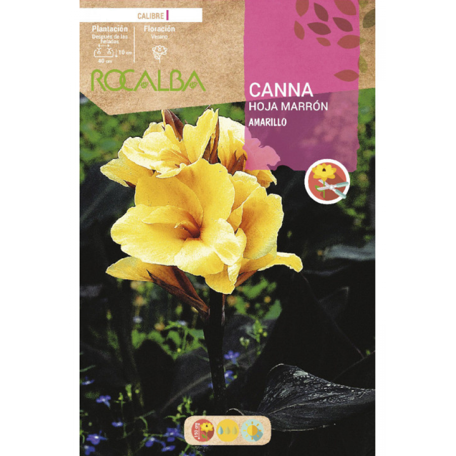 S.BOLBO RO.GAVETA CANAS FOLHA CASTANHA-AMARELO BUCM3050