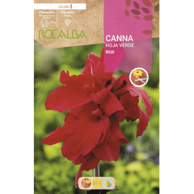 S.BOLBO RO.GAVETA CANAS FOLHA CASTANHA-LARANJA BUCM3055