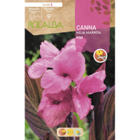 S.BOLBO RO.GAVETA CANAS FOLHA CASTANHA - ROSA BUCM3060