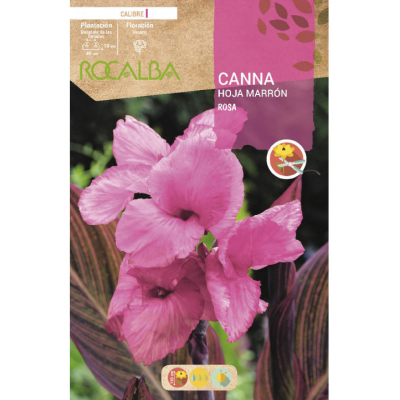 S.BOLBO RO.GAVETA CANAS FOLHA CASTANHA - ROSA BUCM3060