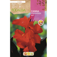 S.BOLBO RO.GAVETA CANAS FOLHA CASTANHA - ROJO BUCM3065