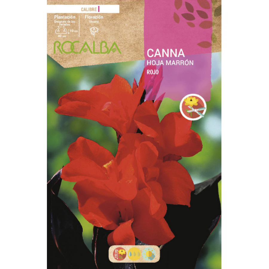 S.BOLBO RO.GAVETA CANAS FOLHA CASTANHA - ROJO BUCM3065