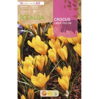 S.BOLBO RO.GAVETA 150 CROCUS LARGE YELLOW -AMARELO<br>BUCR1310