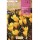S.BOLBO RO.GAVETA 150 CROCUS LARGE YELLOW -AMARELO<br>BUCR1310