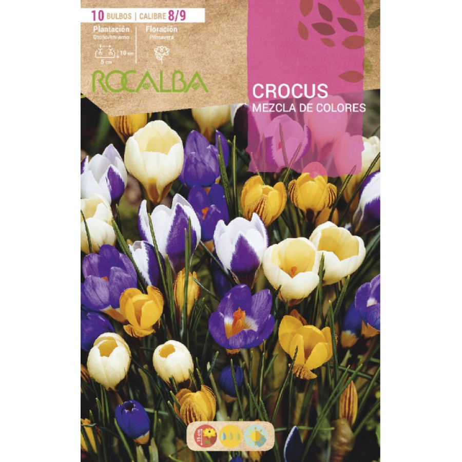 S.BOLBO RO.GAVETA 150 CROCUS - MISTURA DE CORES<br>BUCR1330 S.BOLBO RO.GAVETA 150 CROCUS - MISTURA DE CORES<br>BUCR1330