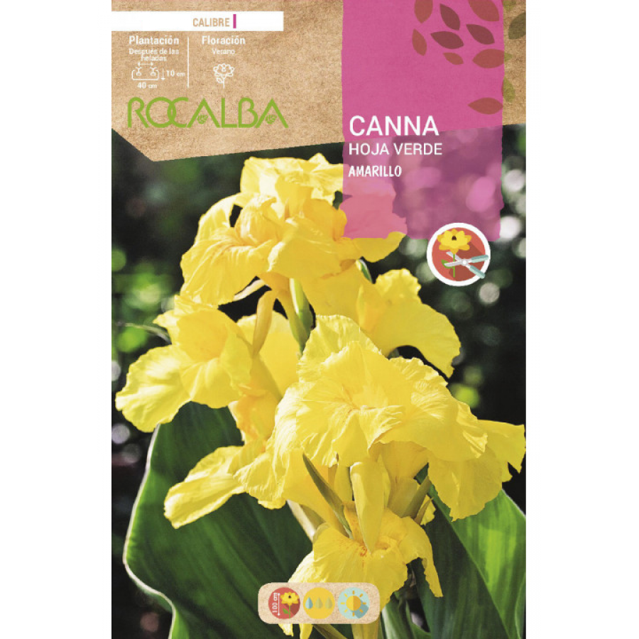 S.BOLBO RO.GAVETA CANAS FOLHA VERDE - AMARELO BUCV3020