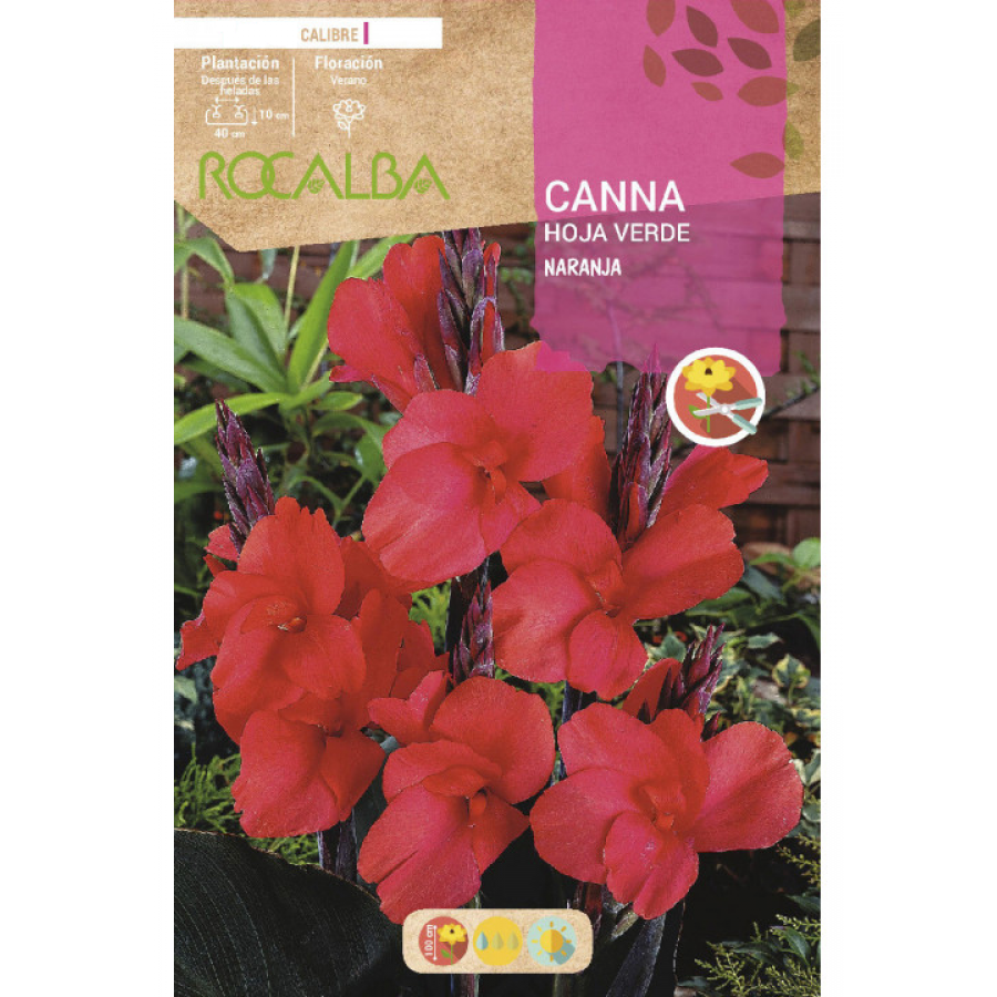 S.BOLBO RO.GAVETA CANAS FOLHA VERDE - LARANJA BUCV3025