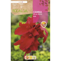 S.BOLBO RO.GAVETA CANAS FOLHA VERDE - ROJO BUCV3035