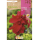 S.BOLBO RO.GAVETA CANAS FOLHA VERDE - ROJO BUCV3035